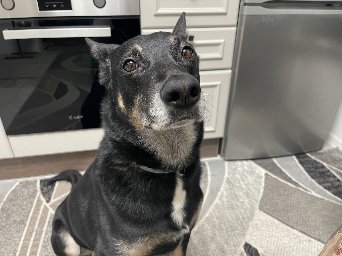 Ну что, готовы удивляться 🤔?