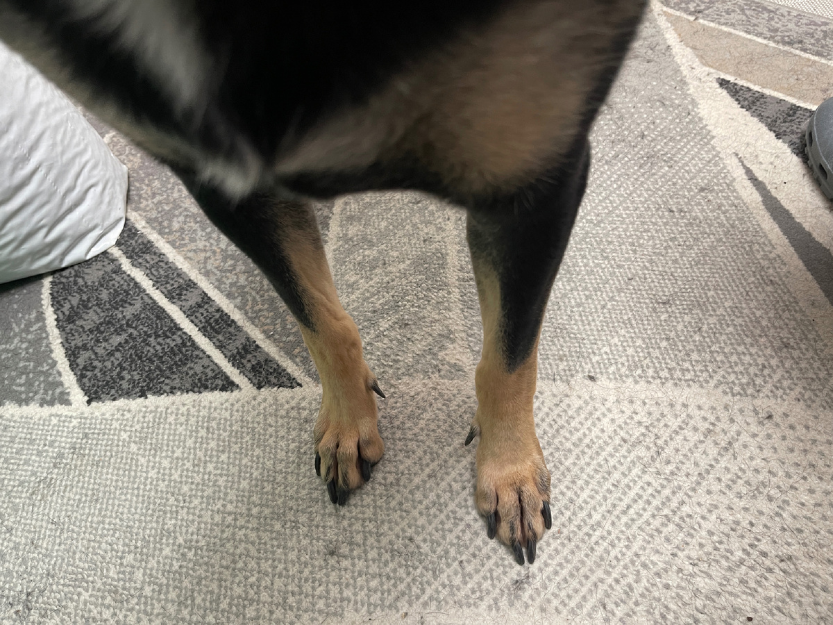 Видите, какая у меня впереди? Верно! Левая! 😁