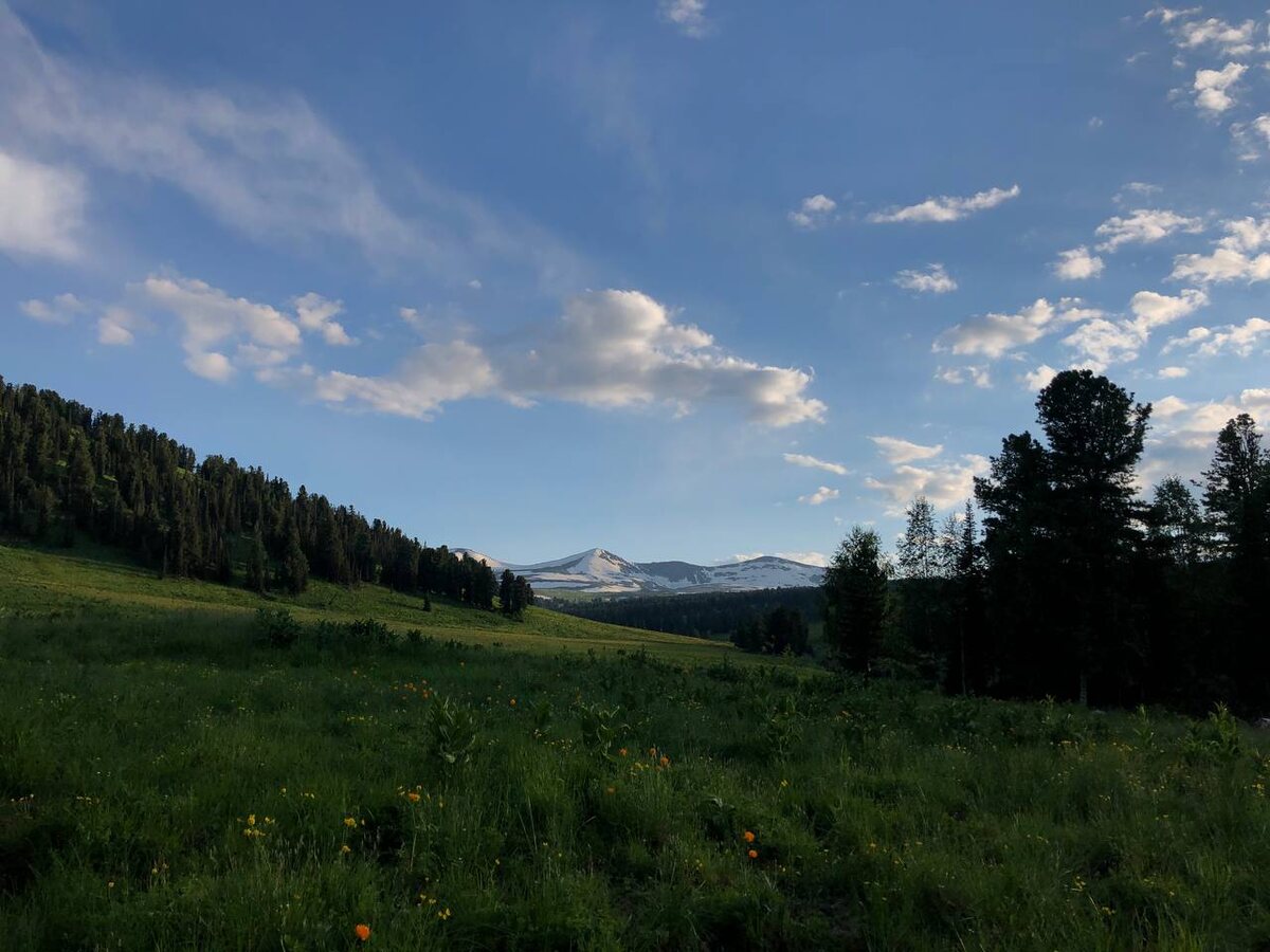 Наше путешетвие к границе Алтая и Казахстана 