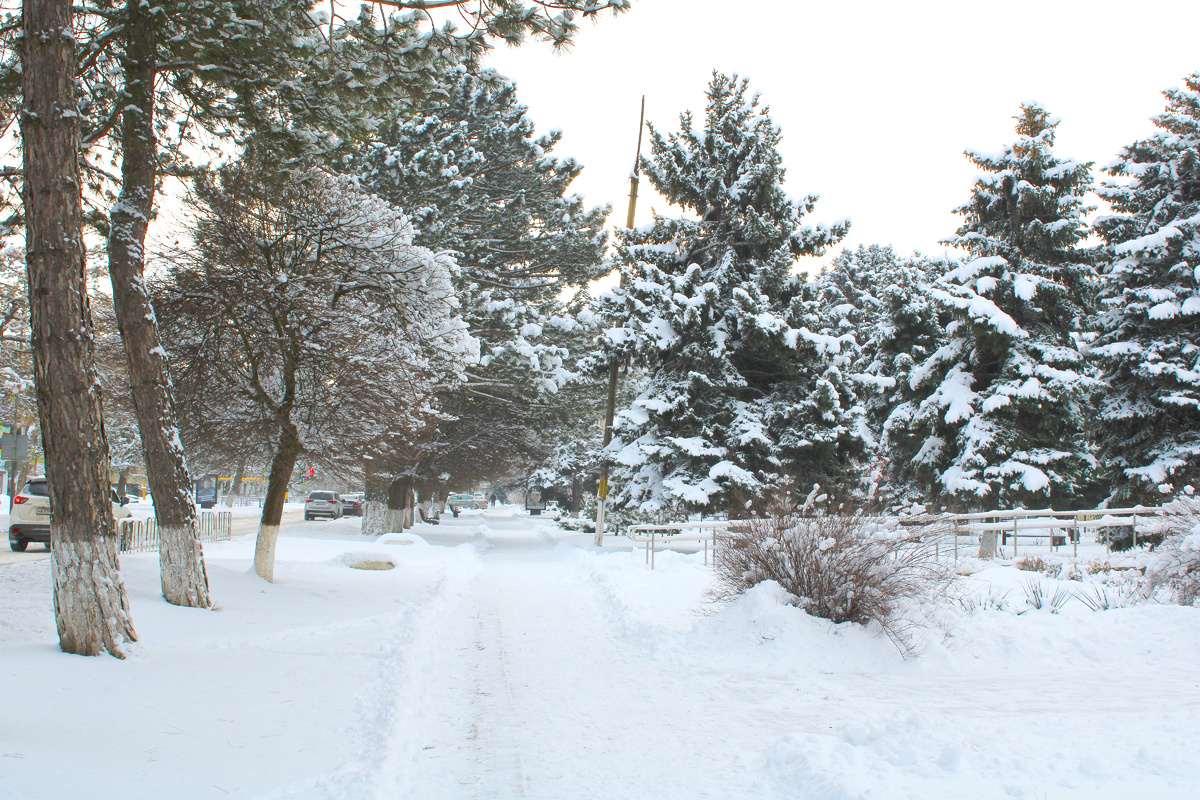 Станица Староминская 16 января 2026 год. ул. Красная. Здесь и далее фото автора