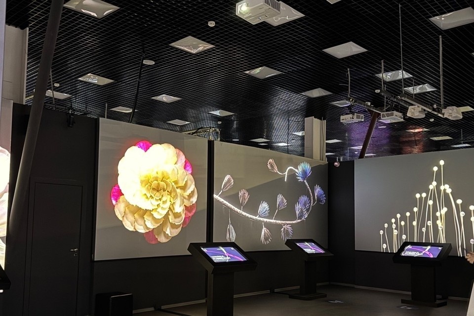    В Самару приехала выставка цифрового искусства Анастасия СЕМДЯНОВА