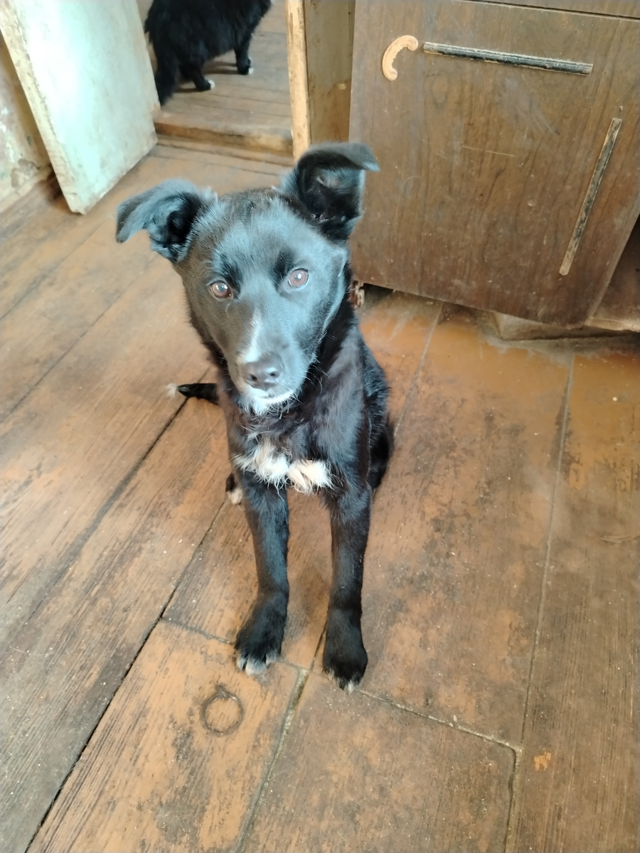 Нафанечка. Выросла в 10 раз. Где-то килограммов 12-13 в ней. 