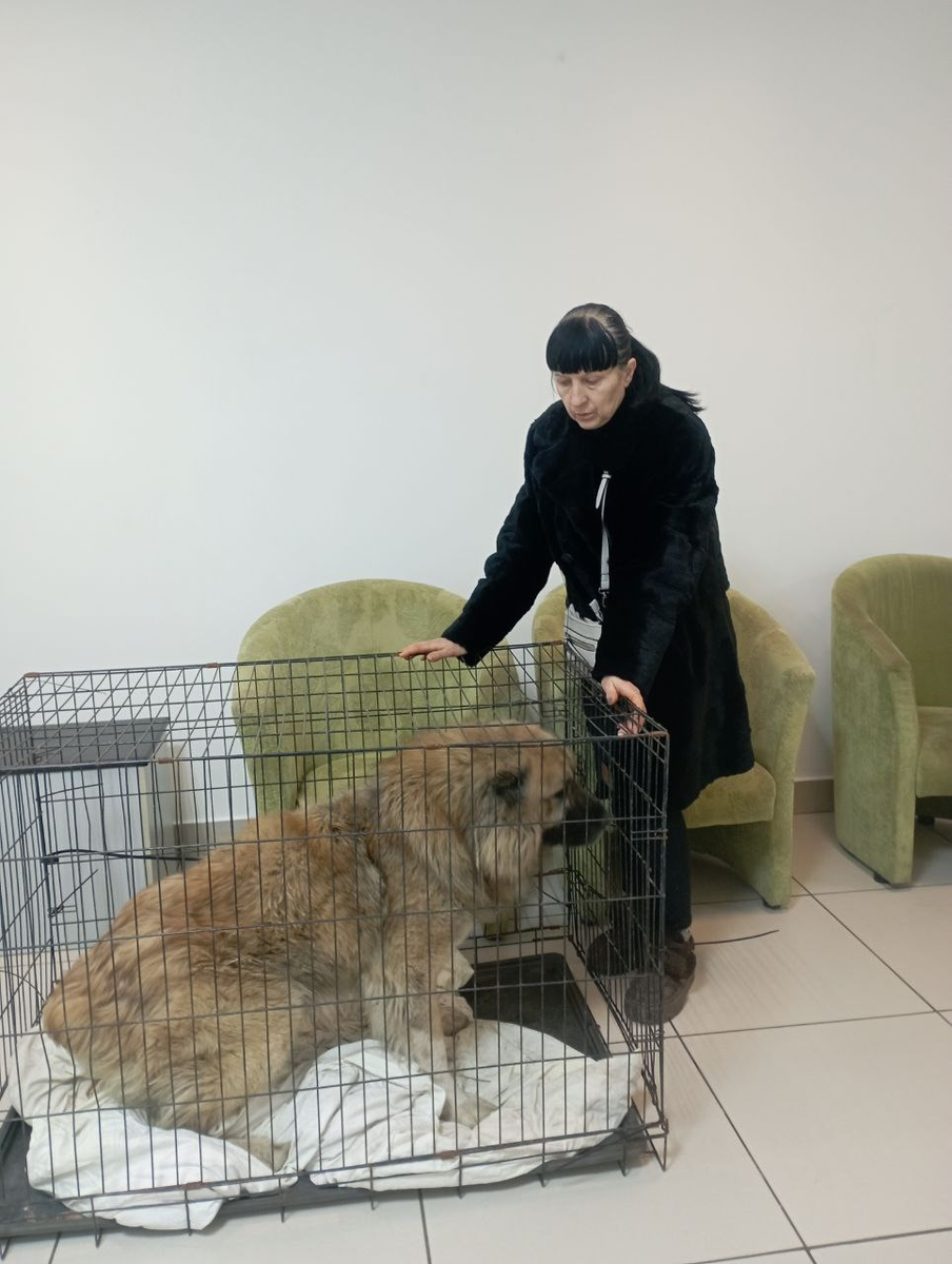 Малыш в ветеринарной клинике "Багира", г.Донецк