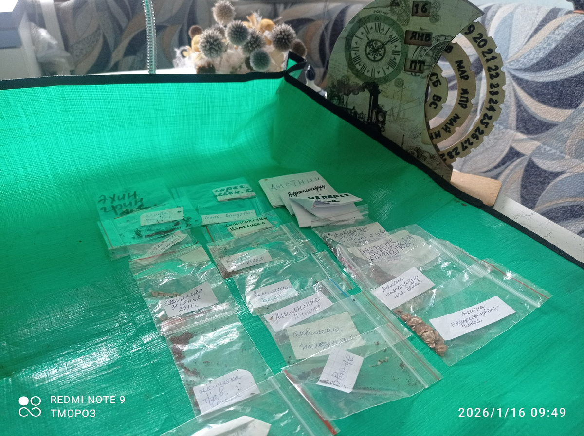 подготовка