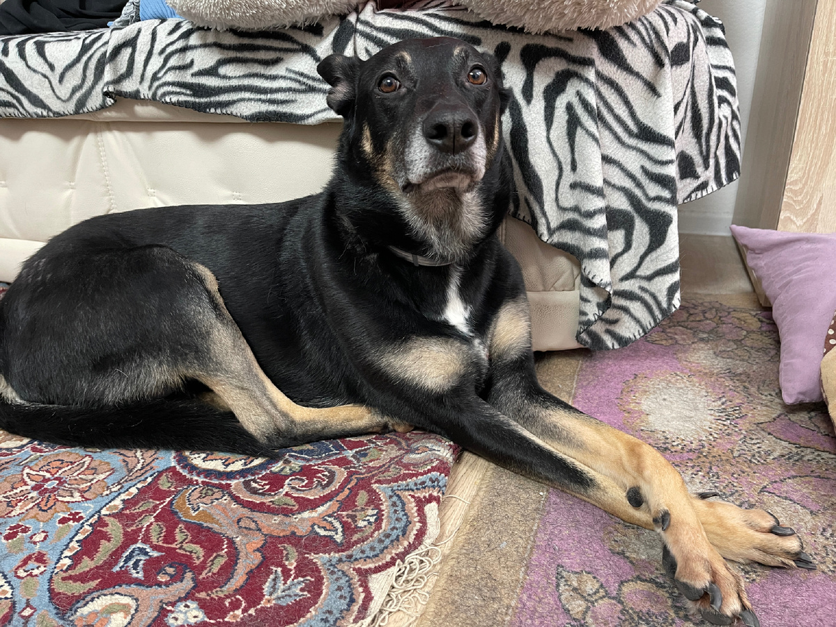 Потом не забудьте в комментариях рассказать, что слушаете вы 😉