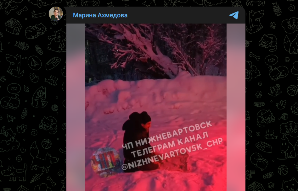 Фото: Telegram-канал "Марина Ахмедова"