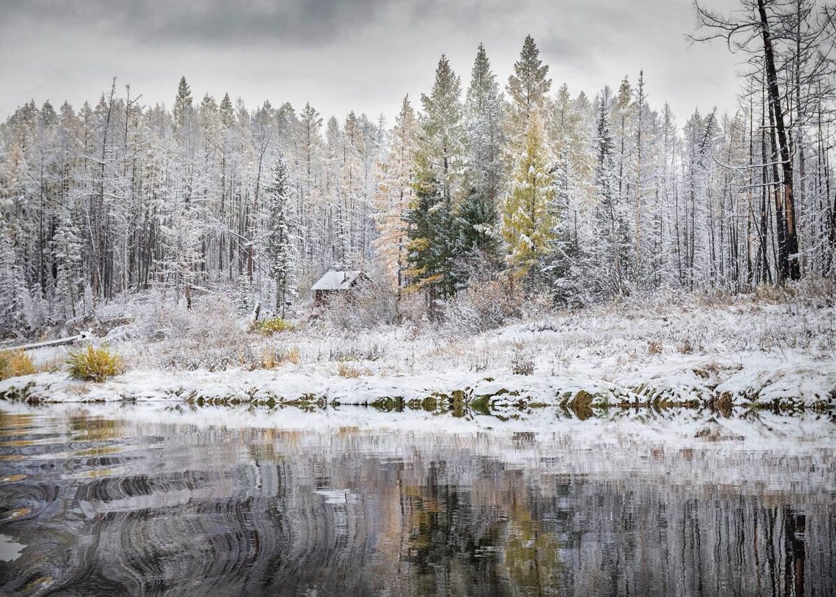 На фото: Елена Аносова. Первый снег