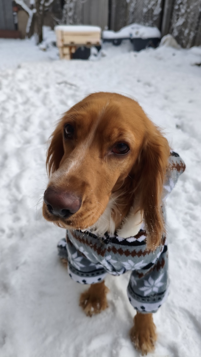 Когда же будет лето???