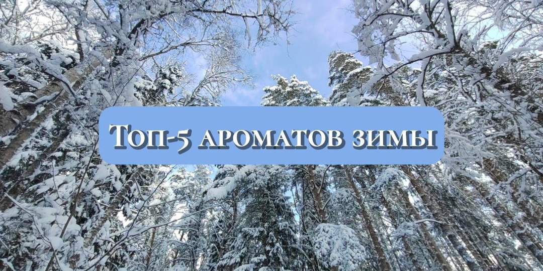 О чём молчит снег: 5 парфюмов, которые расскажут вам зимнюю сказку.