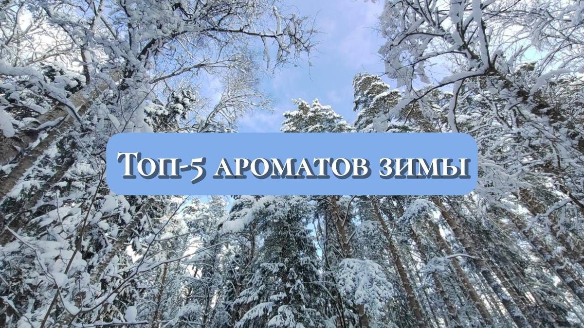 Личное фото автора -прогулка в лесу. Сразу вспомнилась сказка Морозко" исчастливое детство