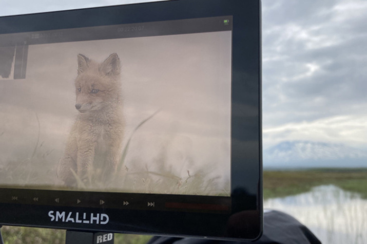 Явление героя. Фото: Дмитрий Шпиленок