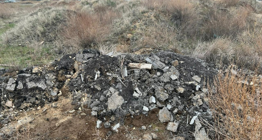    Фото: пресс-служба Нижне-Волжского управления Росприроднадзора