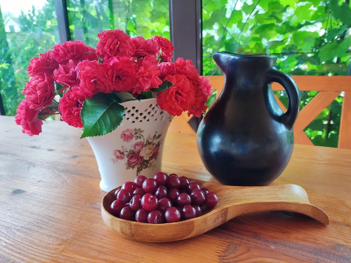 Роза с "вишневым" именем - сорт Cherry Girl