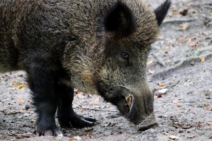 Обложка © Shutterstock / FOTODOM / Thomas_Martzel