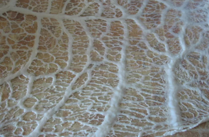 почечное сало