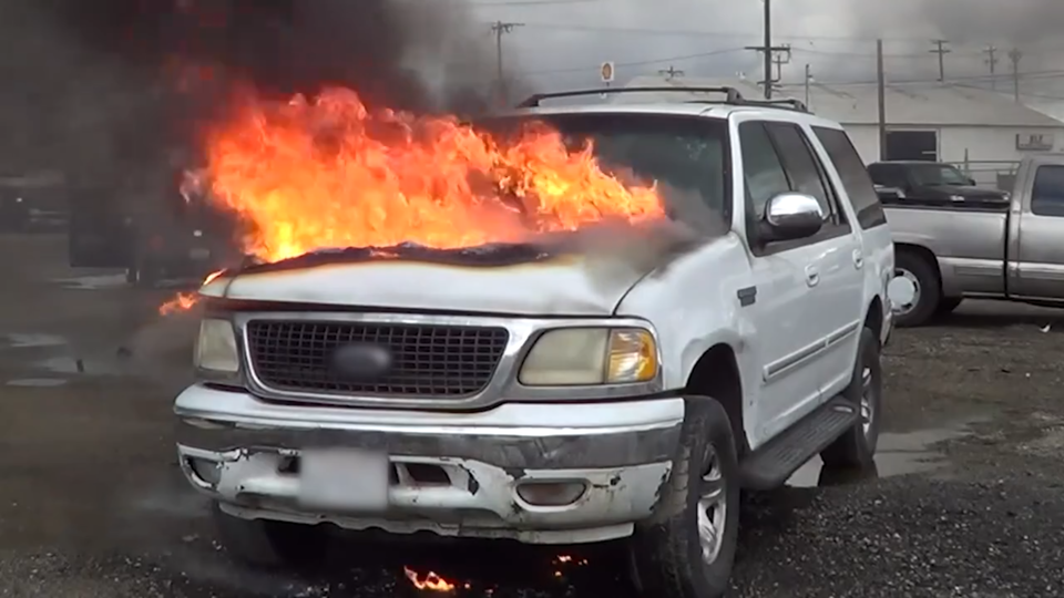 ФОТО: Кадр программы "Самая полезная программа", РЕН ТВ
