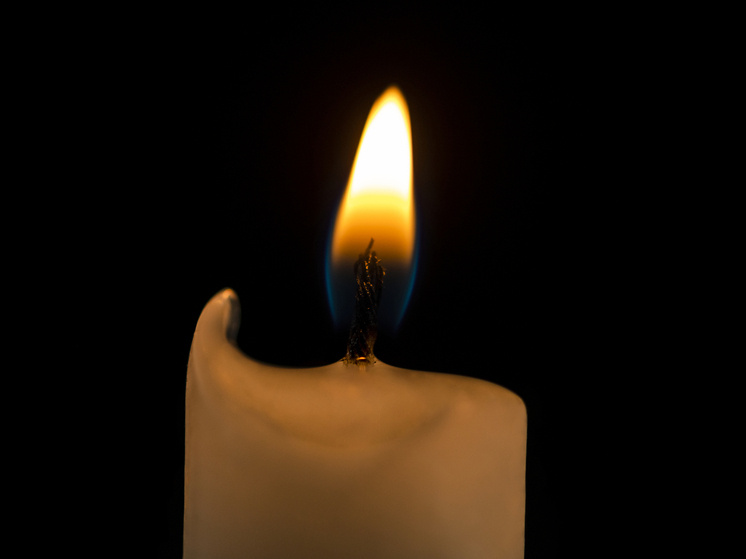     Фото: rawpixel/freepik.com