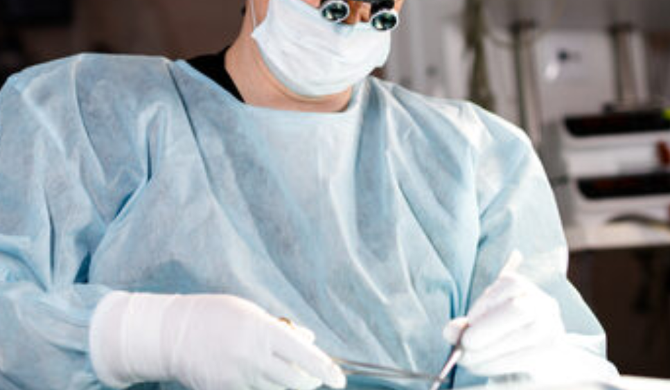 Фото носит иллюстративный характер: открытые источники