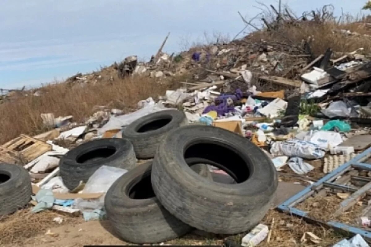    Суд обязал волгоградскую компанию выплатить 4,3 млн за свалку