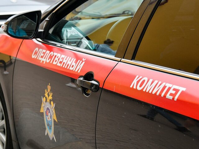    Фото: Москва 24/Антон Великжанин