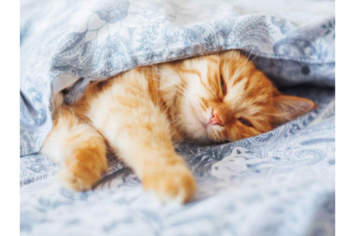 Фото из Интернета. 