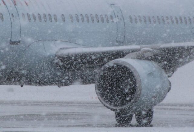    Фото из открытых источников