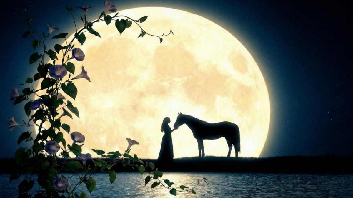 Вьюн над водой "Гламурный шансон"