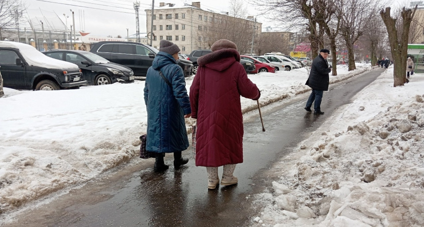    Фото progorod43.ru