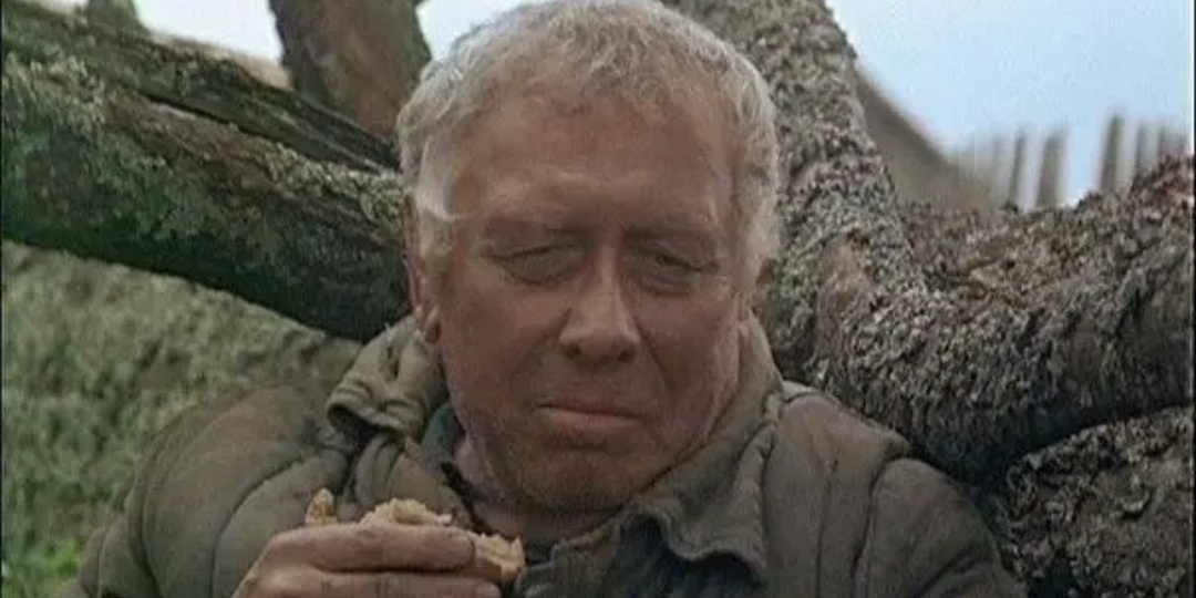 «Об одном жалею – годы. Так хочется пожить по-человечески. И поработать»: последние слова и роль замечательного актёра Анатолия Папанова