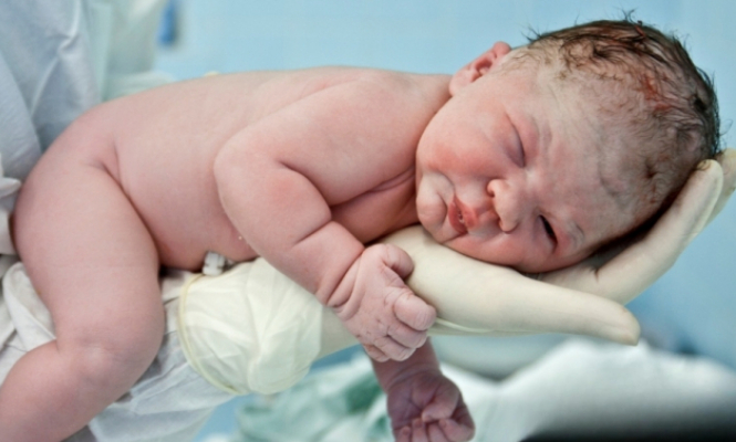    фото: © Правительство Карелии