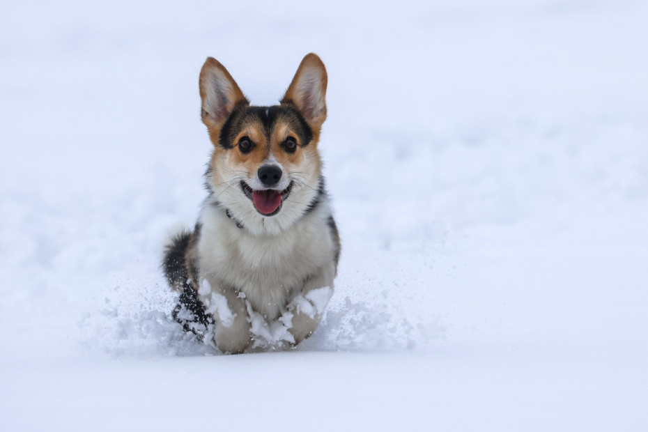    Сергей Булкин/NEWS.ru
