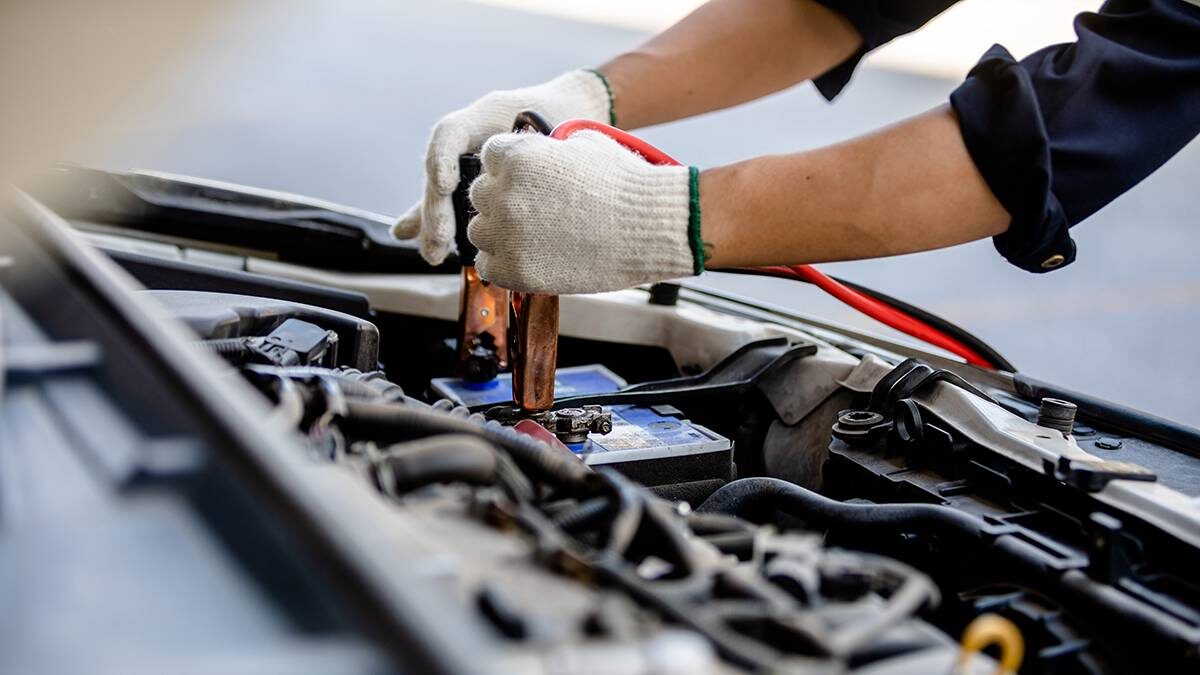    Фото: Shutterstock