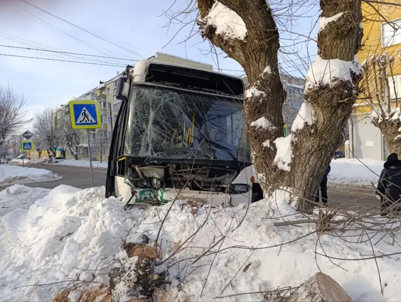     © Пресс-служба УМВД России по Владимирской области