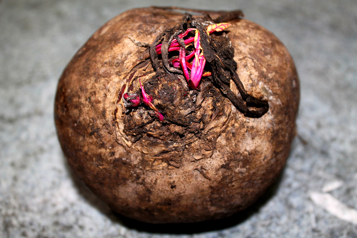 Фото автора.