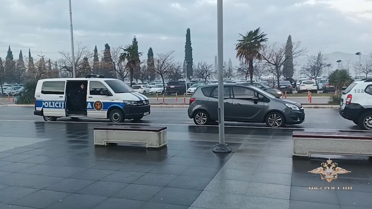    Фото: t.me/mediamvd