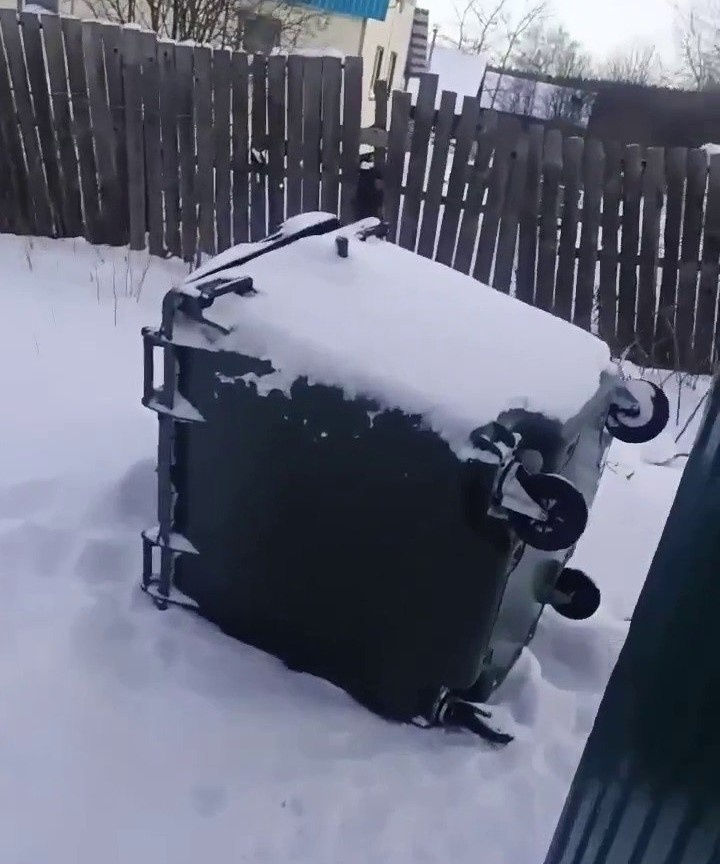 Фото: пресс-служба "Рифея"