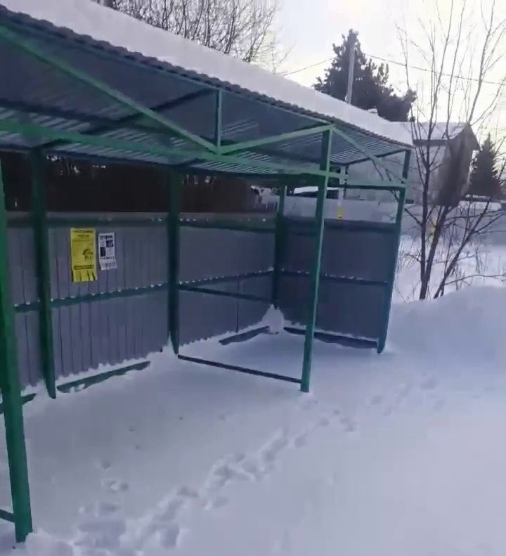 Фото: пресс-служба "Рифея"