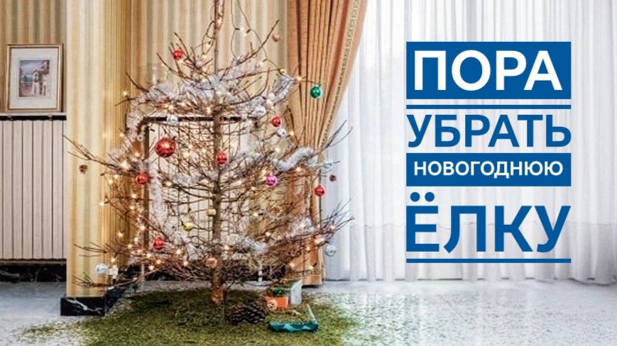 Чтобы весь год водились деньги: когда и как правильно убрать новогоднюю елку после праздников