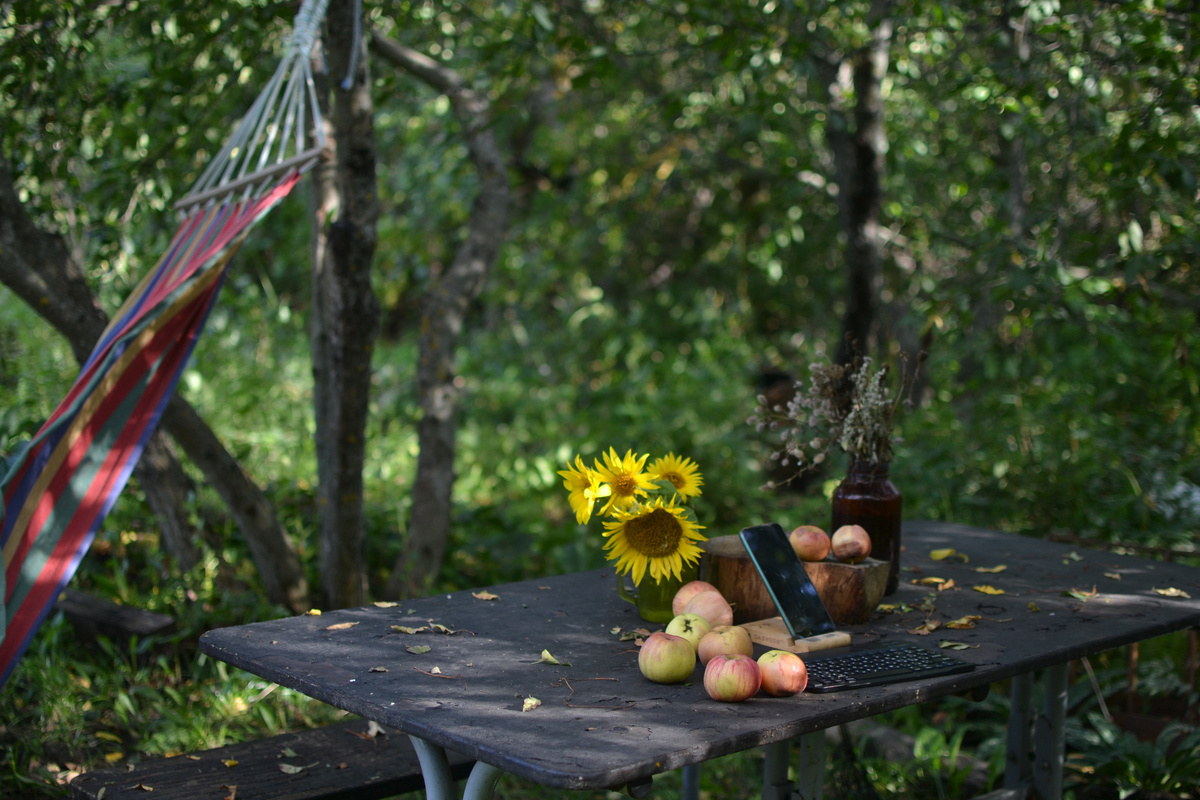 Ведение блога летом - это еще одно приятнейшее дело в саду