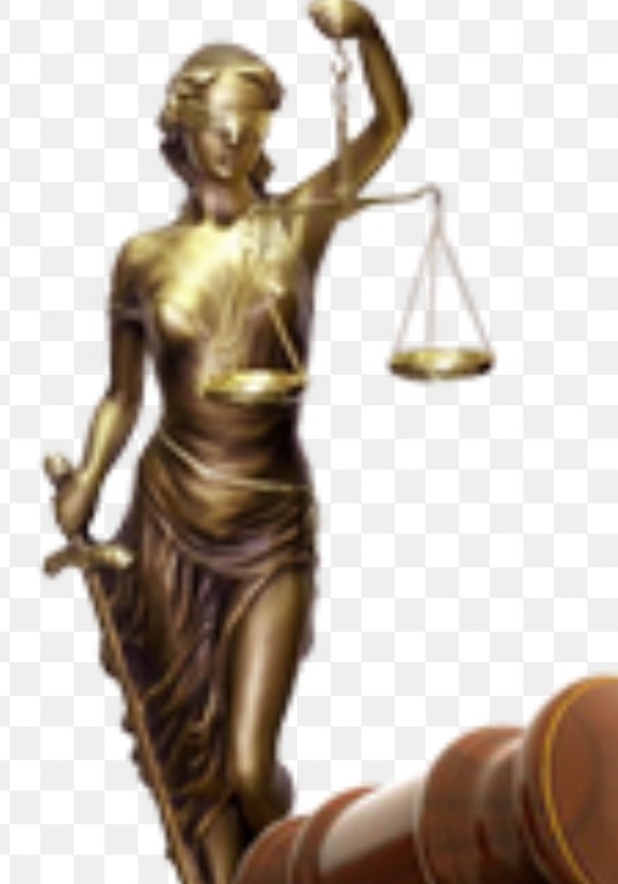 Профессиональный юрист - адвокат. 