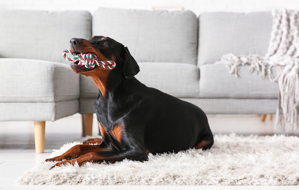 Pixel-Shot/Shutterstock/FOTODOM