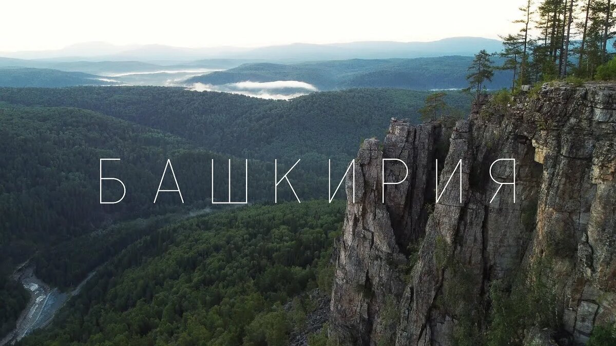 Источник: YouTube ЧАЩИНЫ