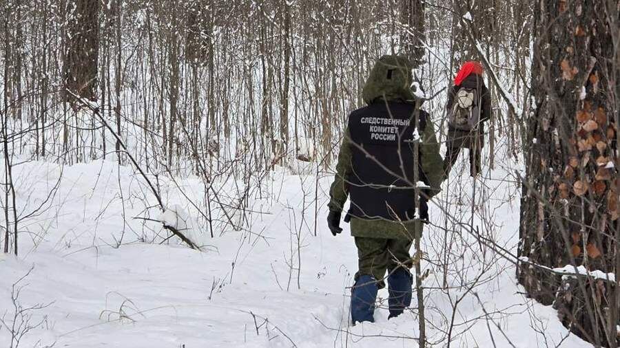    Фото: t.me/krksledkom