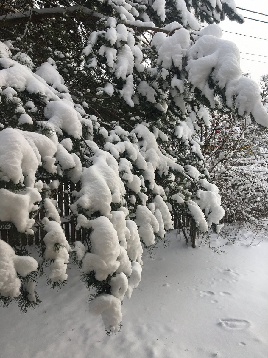 Вид из окна. Фото автора