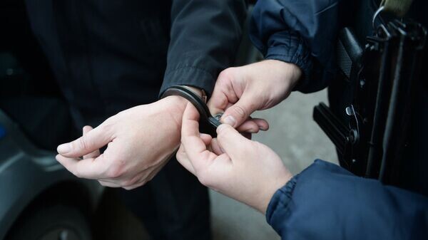    © Sputnik / Кирилл Каллиников