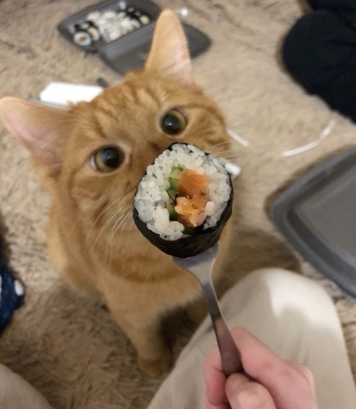 «Да на ты, только перестань орать!»