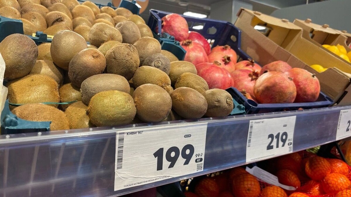    Стоимость огурцов превысила цены на экзотические фрукты   novostivolgograda.ru