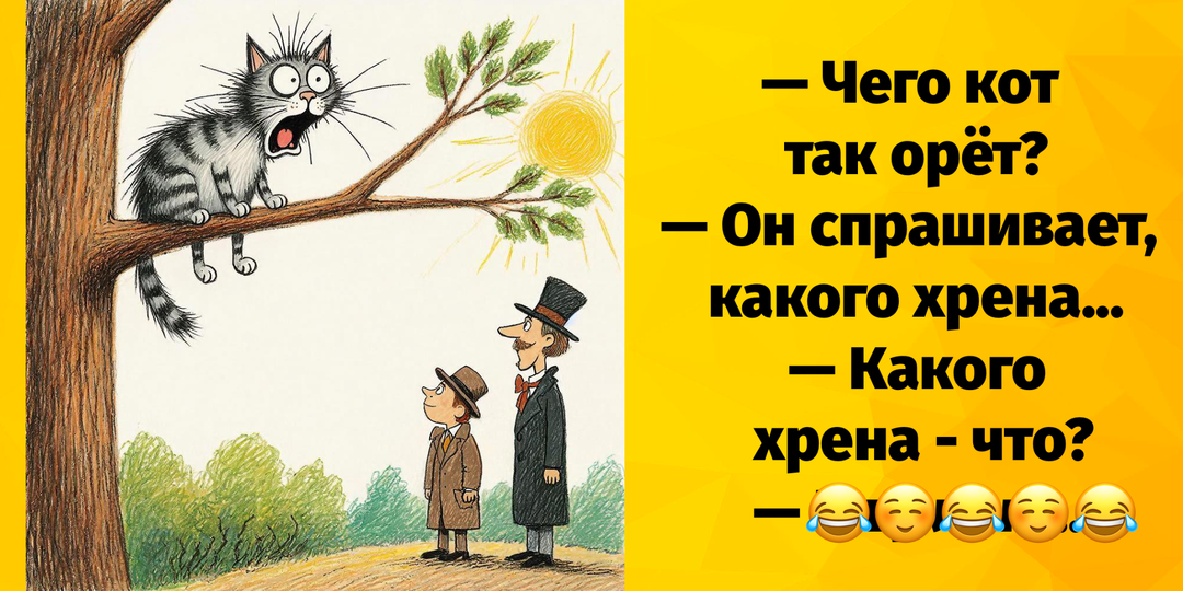 Добрые шутки и юмор для позитива про нас, самых лучших