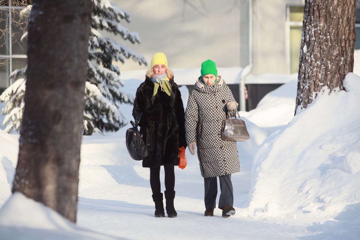    Фото: Павел Комаров, nsknews.info