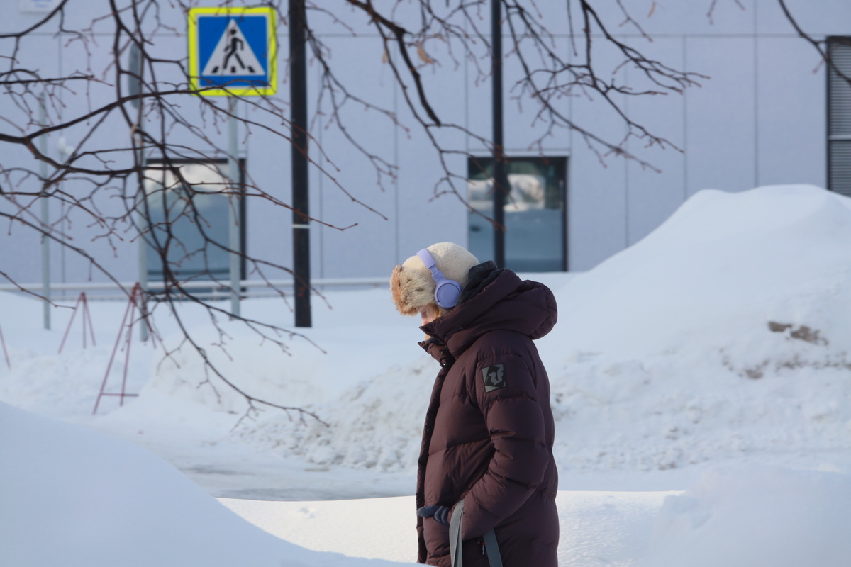    Фото: Павел Комаров, nsknews.info